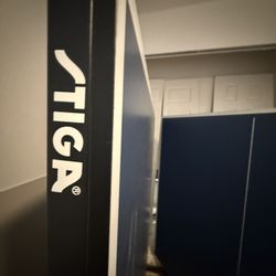 Ping Pong Table