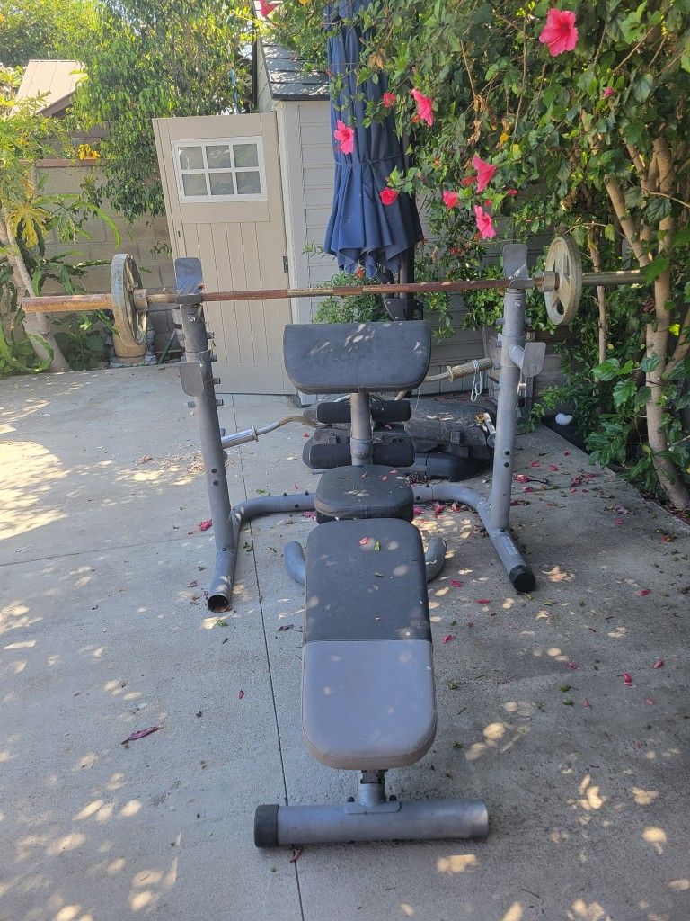 Bench Press Set With Olympic Bar And Weights