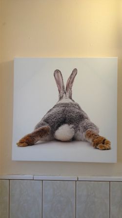 Bunny butt poster