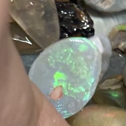 Rough And Rubs Assortment 