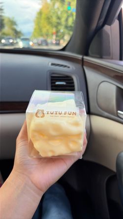 Tutu Fun Cheese Squishy