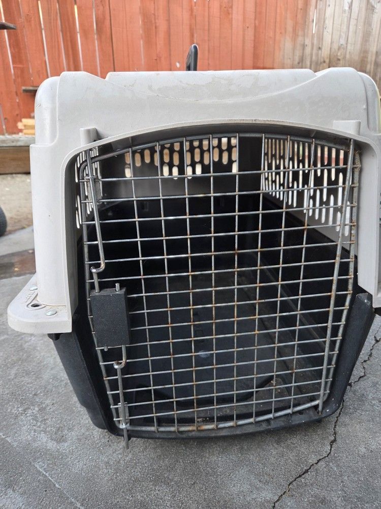 Dog Cage 