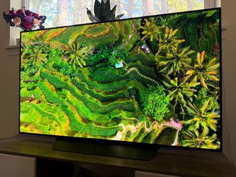 LG OLED 55inch