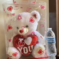 Teddy Bear 🧸 Valentines Gift 🎁