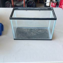 Small Fish Tank 