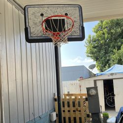 Lifetime Basketball Hoop