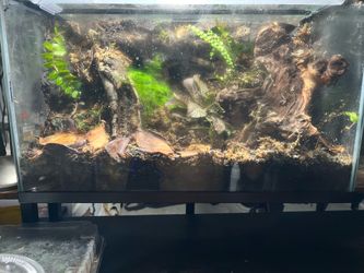 10 gallon terrarium