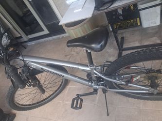 Schwinn bicycle