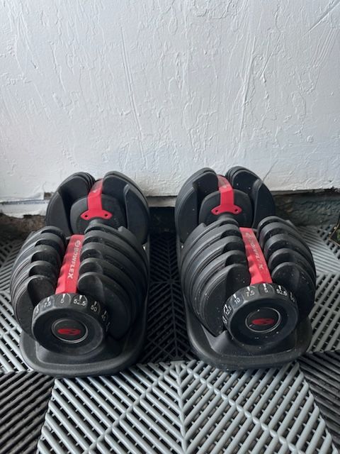 Bowflex Adjustable Dumbbells 