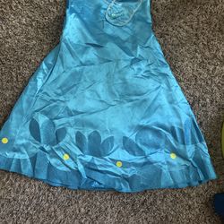 Dress up poppy dress