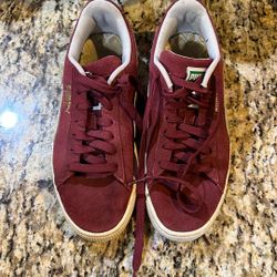 Puma 8