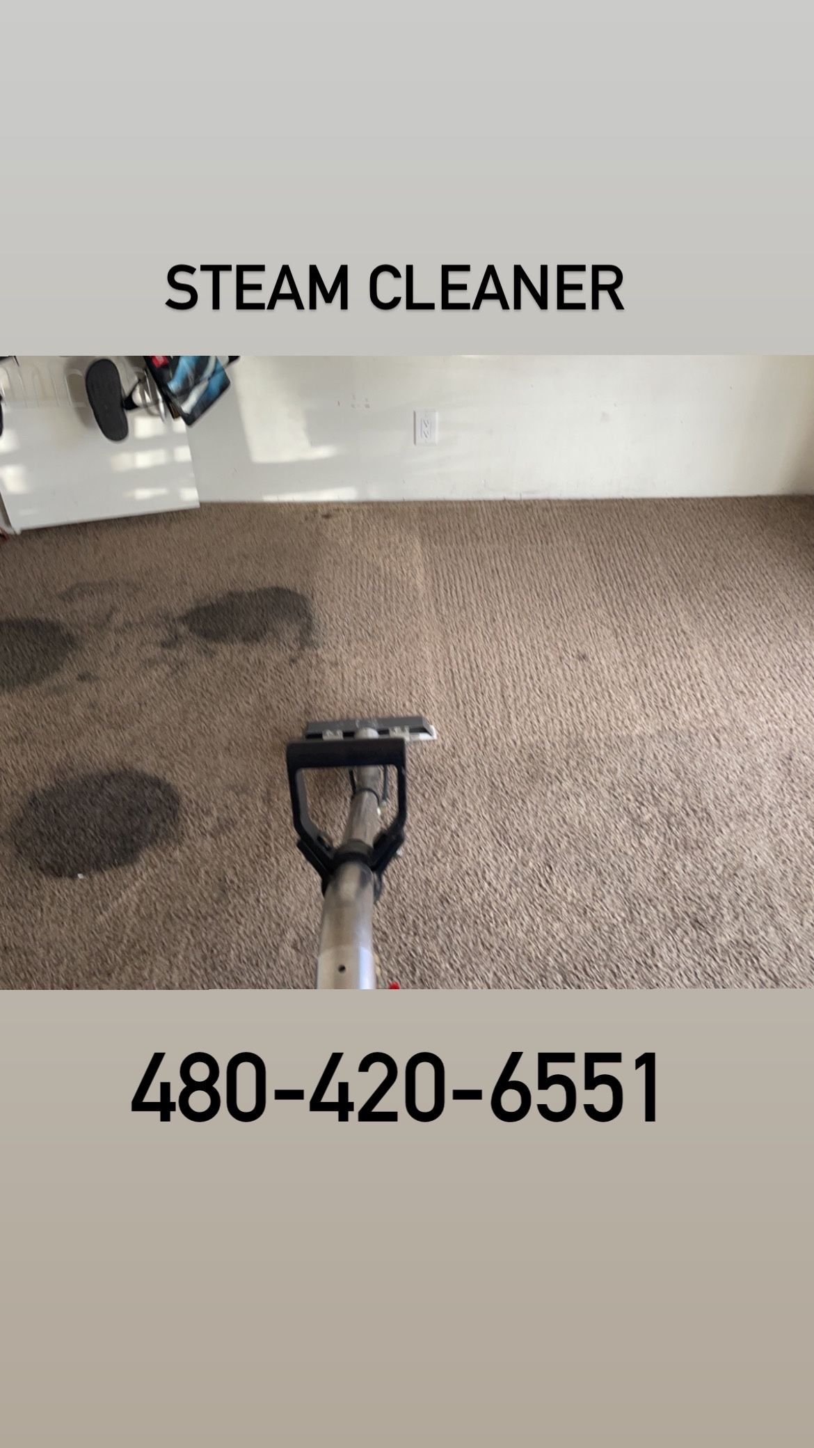 Steam Carpet And Upholstery Cleaner