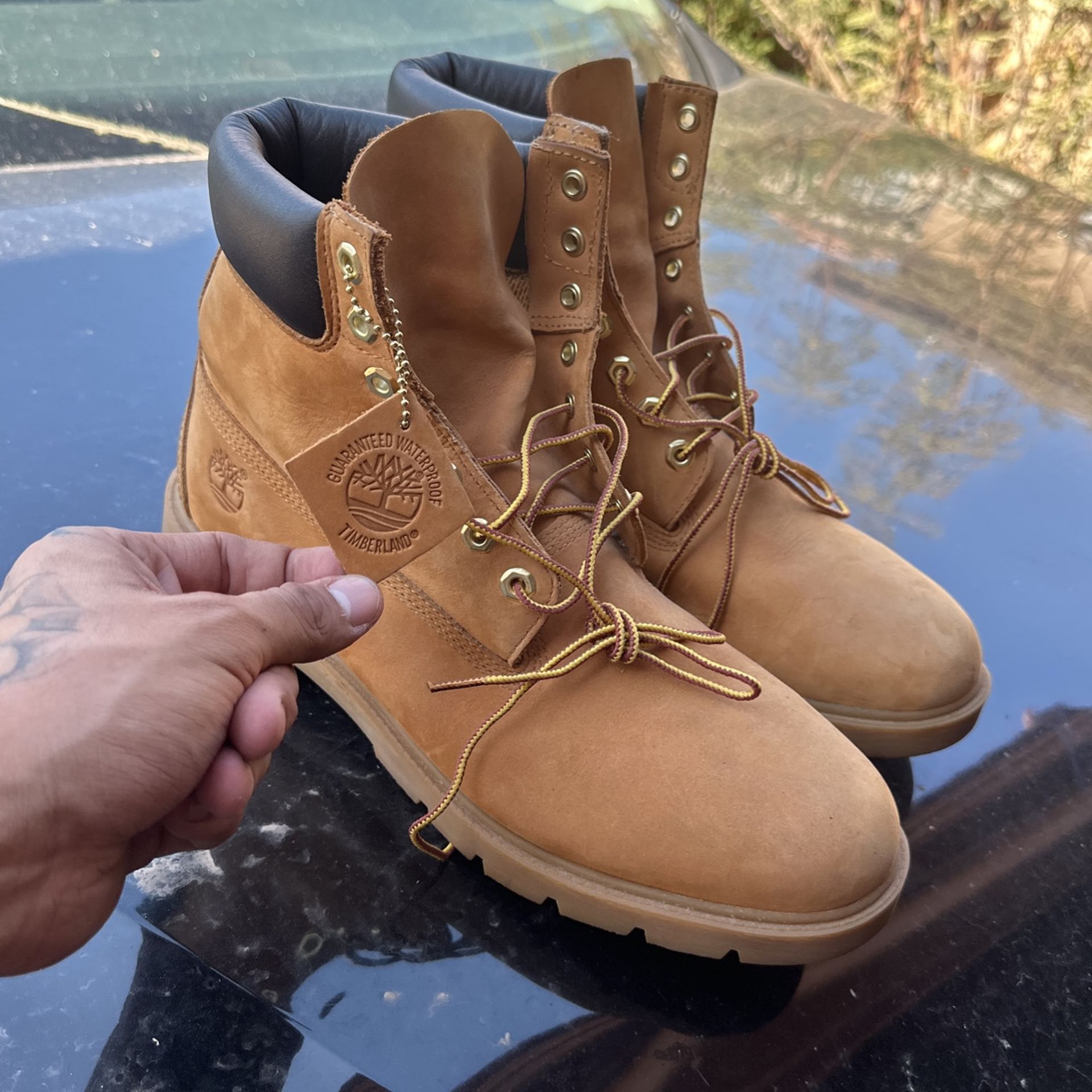 Timberlands size 12