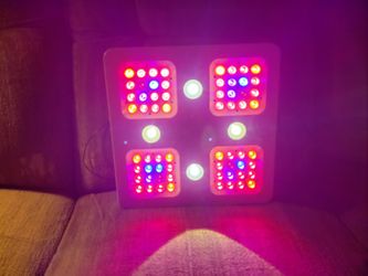 LED Grow Light