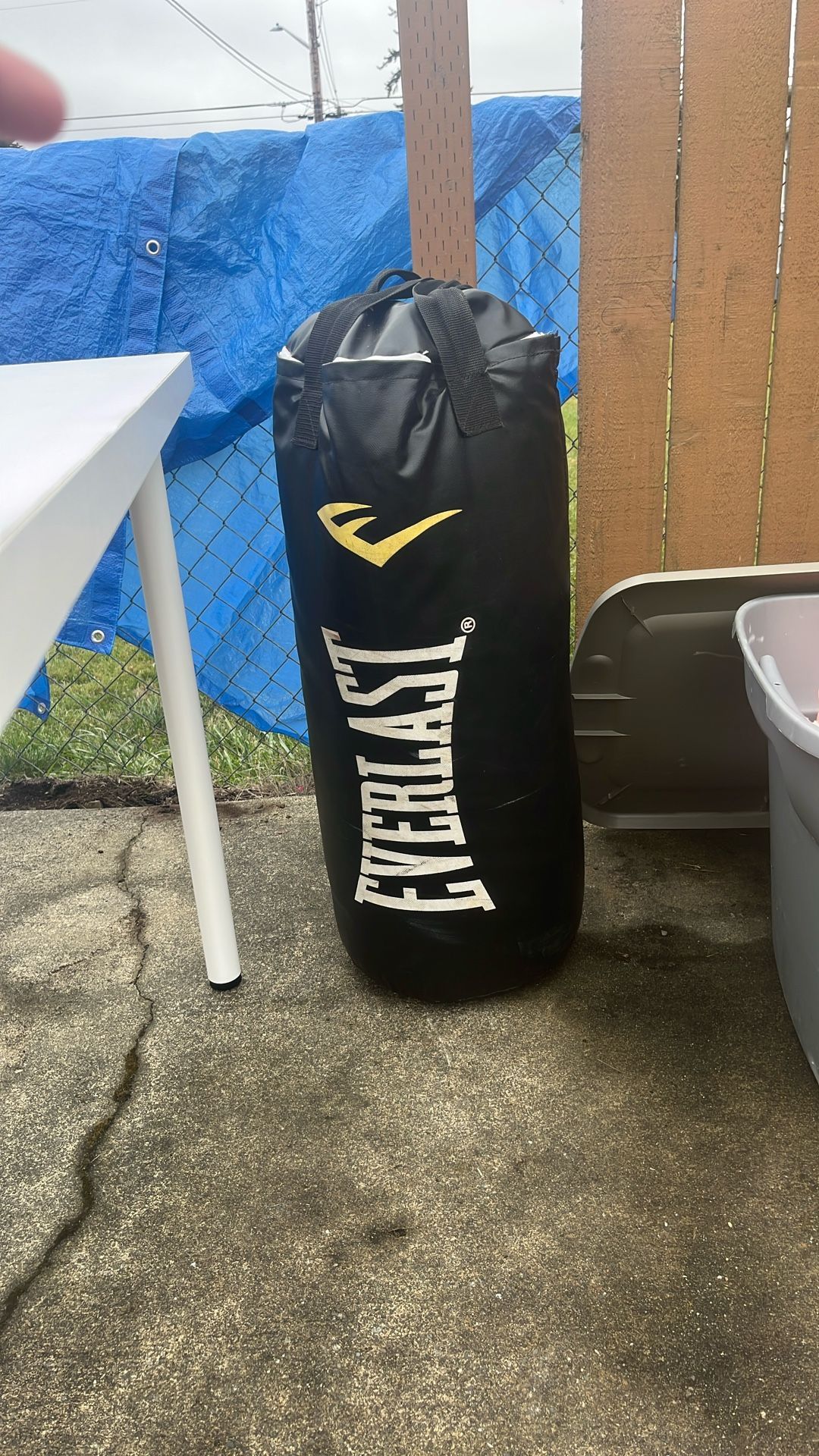 Everlast Punching Bag 