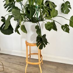 Metal Industrial Curved  bar stool 1950 Stool Thonet