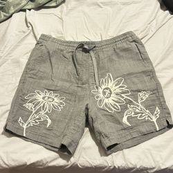 Men’s Pacsun Shorts 