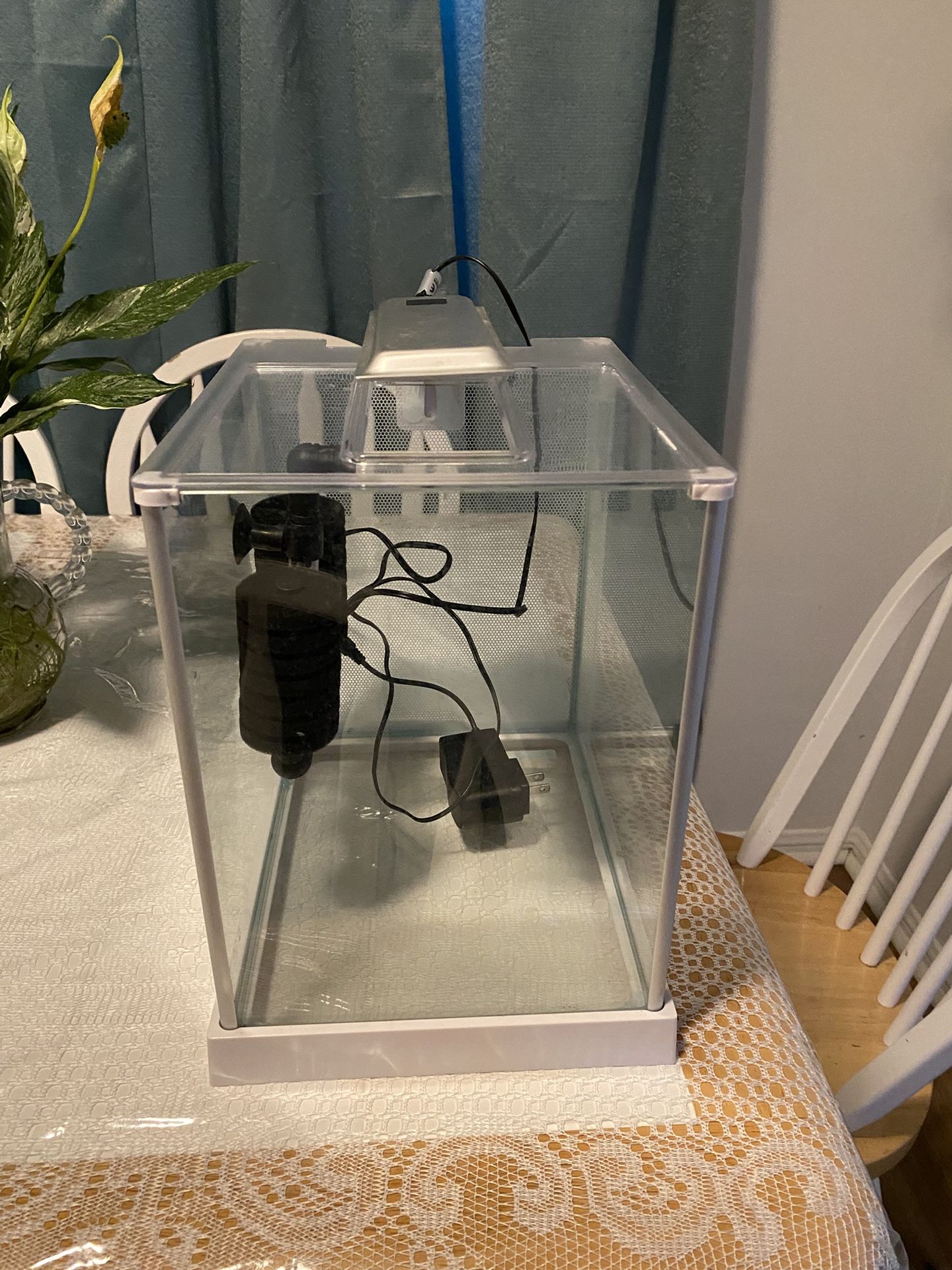 Fluval Cube 2.5gal 
