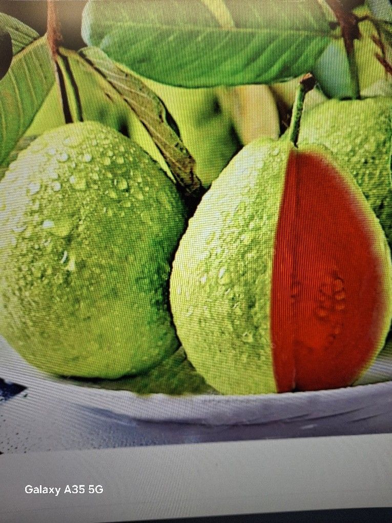 Variety Of Fruit Trees