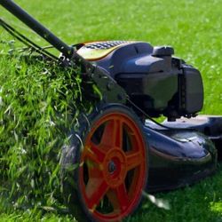 Lawn Services 