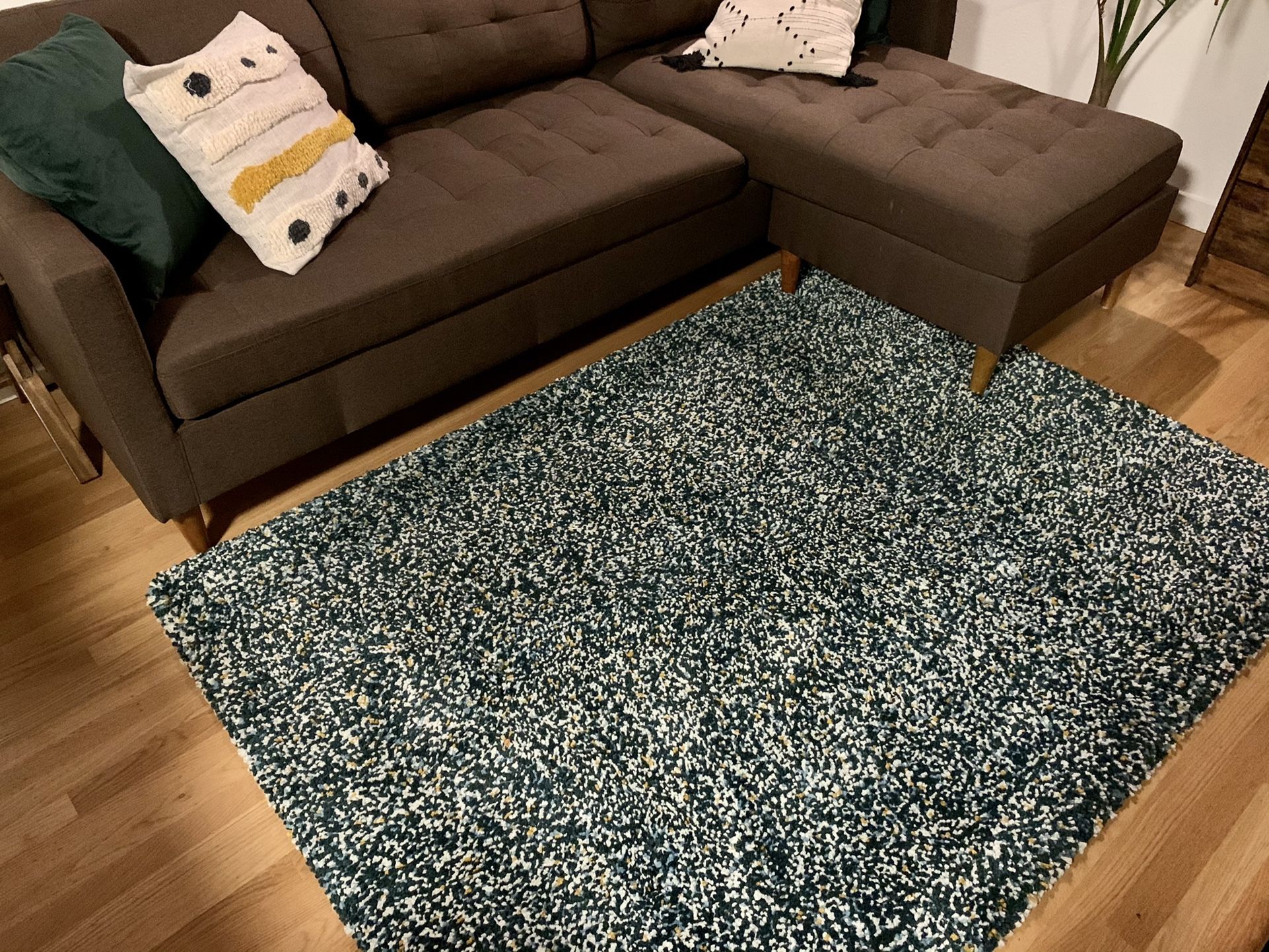 2 Month Old IKEA Rug