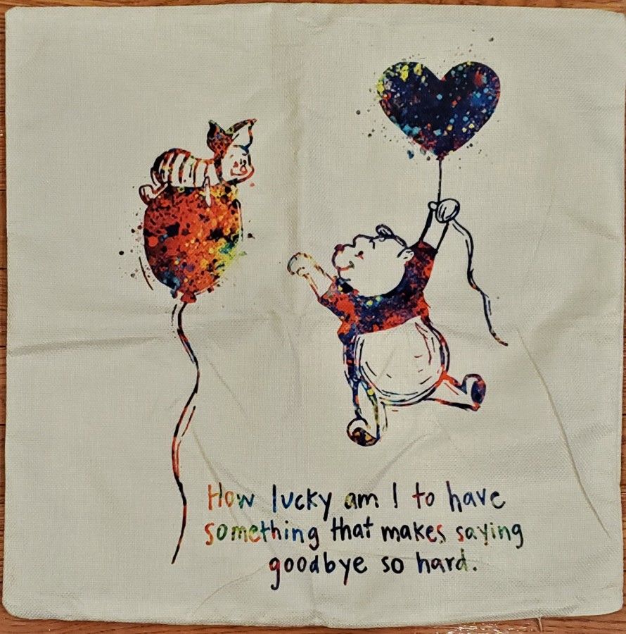 Classic Winnie The Pooh Quotes Pillow Covers - Pooh And Piglet