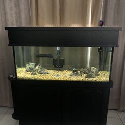 75 Gallon Aquarium 