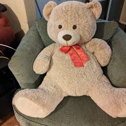 big teddy bear  cuddle love make offer