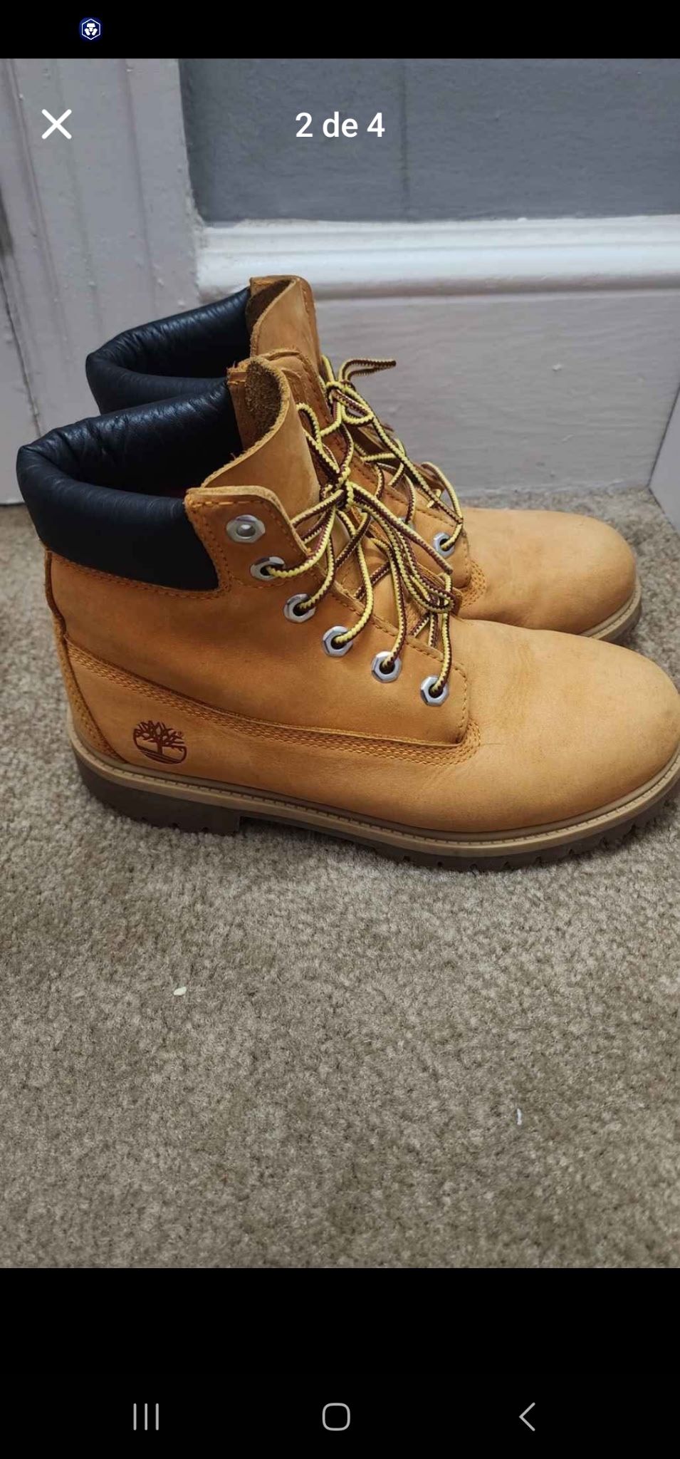 Timberland Classic Color Size 5.5 In Boys