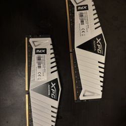 2x 8g RAM 