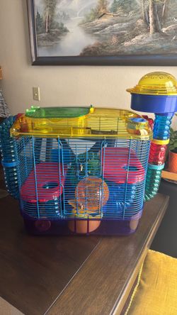 hamster cage