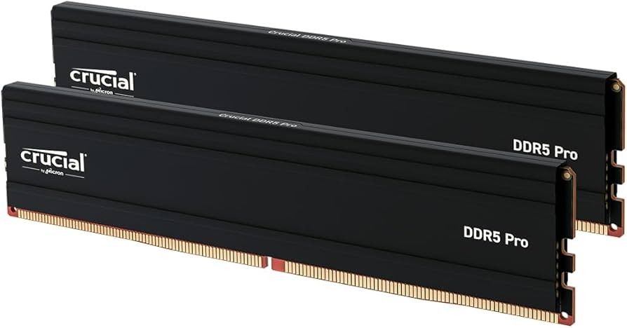 2x48 96gb DDR5 RAM