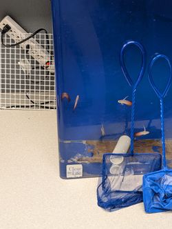 Fish Tank "Decorations"