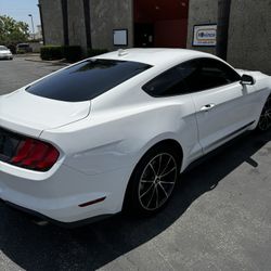 Window Film Automotive Tints 