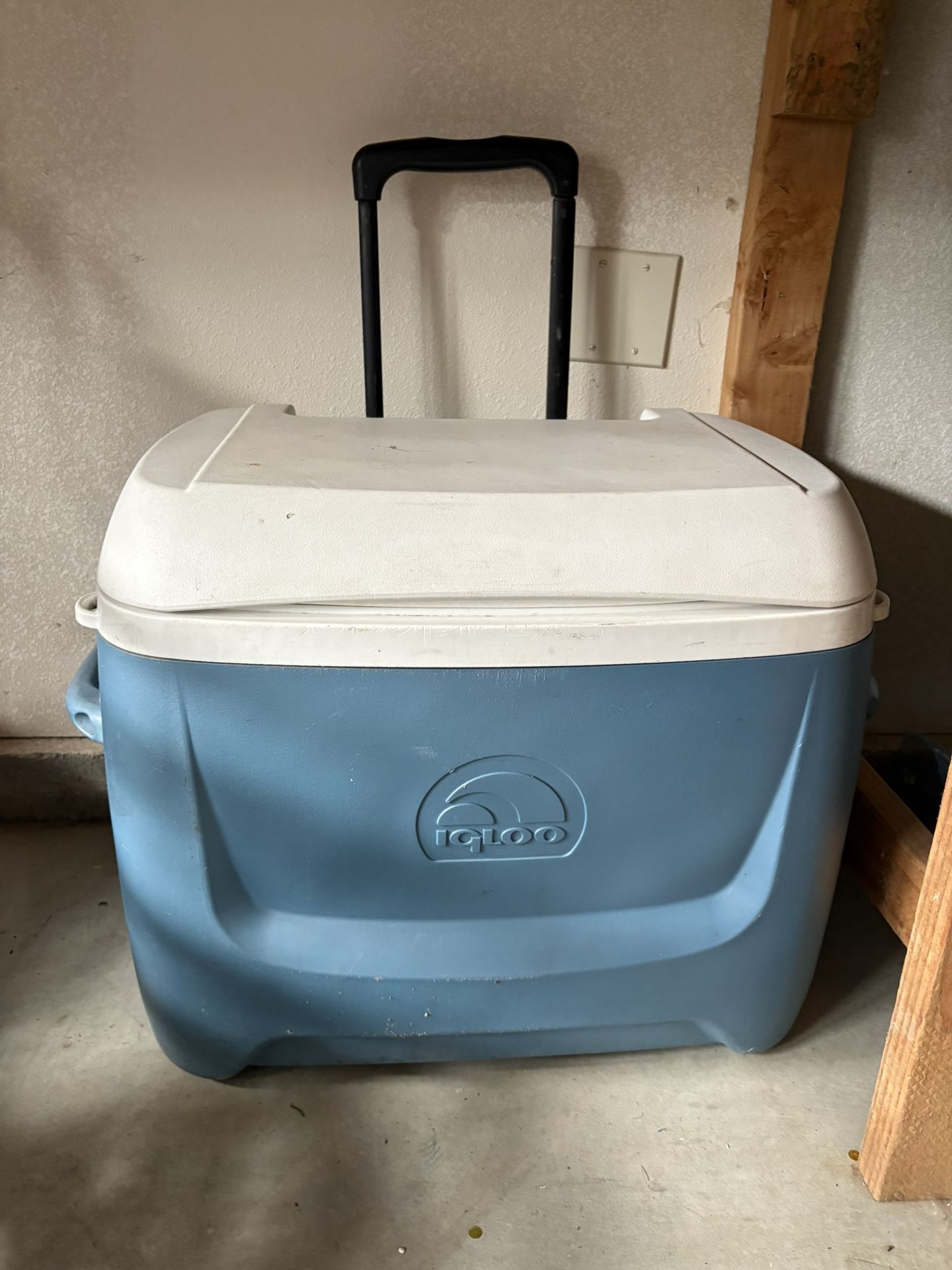 Cooler Igloo