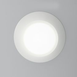 LED Flush Mount Ceiling Light (Disk)