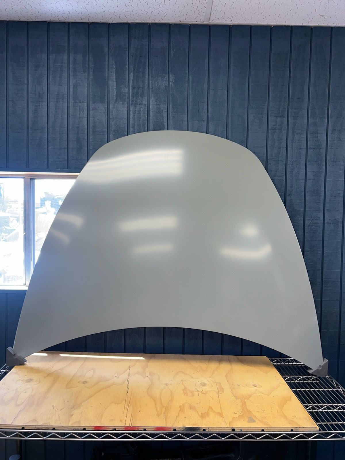 17-23 Tesla Model 3 New Hood OEMq