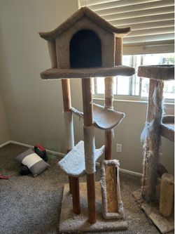 Free cat tree