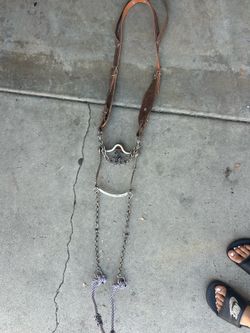 Horse bit and reins