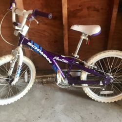 Schwinn  Child’s Bike 