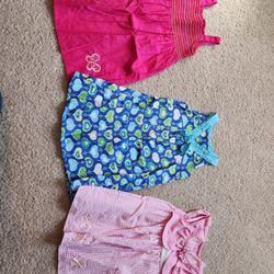 3t Dresses
