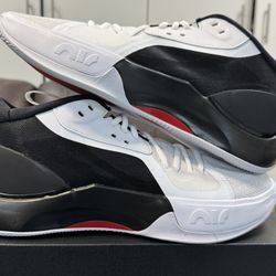 Jordan Zoom Separate Size 12M Brand New