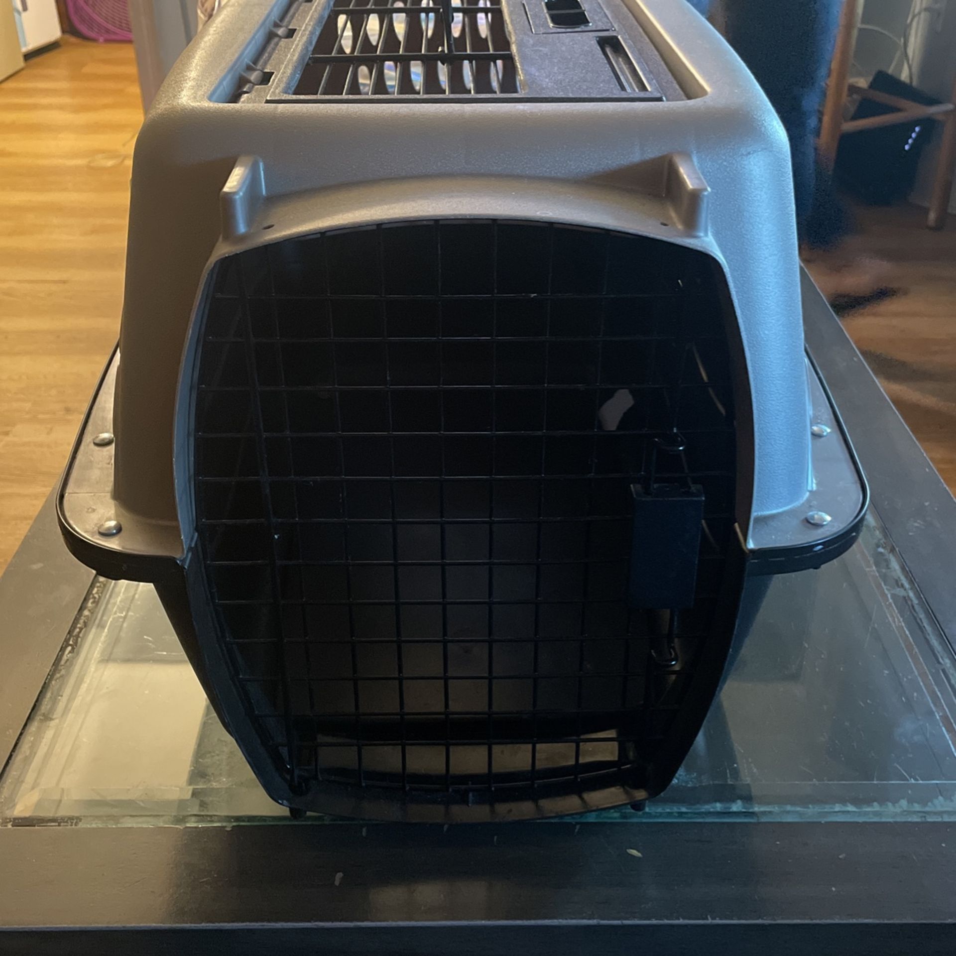 Pet Case