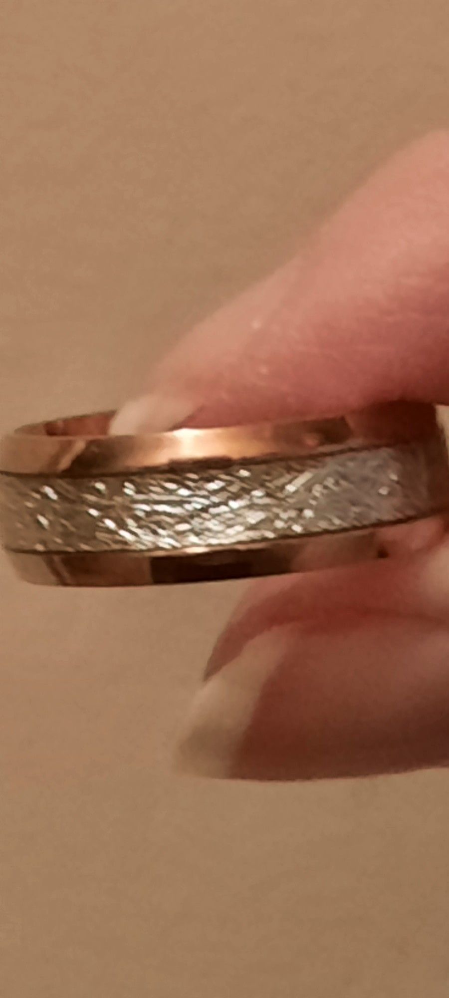 Tungsten Ring With Meteorite Inlay