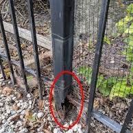 Fence