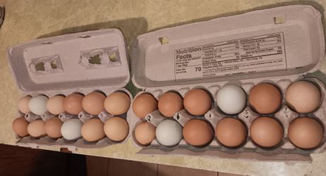 Fresh Farm Eggs