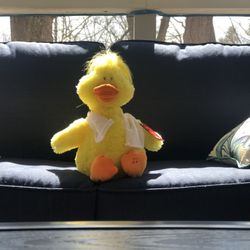 Singing  Suffed Animal DUCK  BNWT