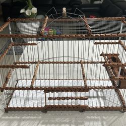 Bird Cage/ Jaulas
