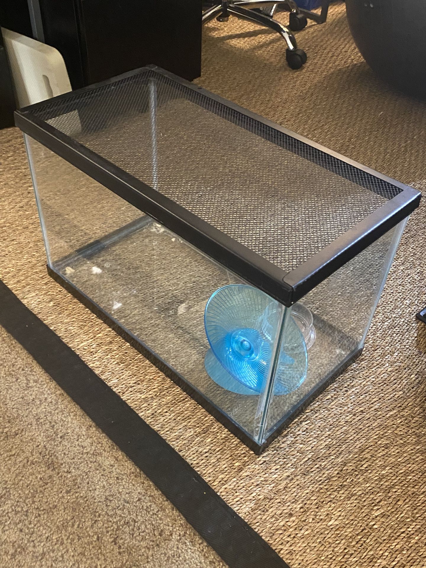 Terrarium