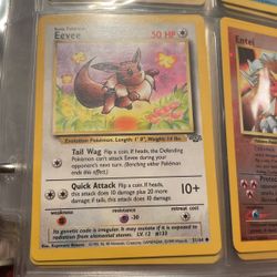 Eevee 51/64